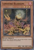 Lonefire Blossom MYFI-EN042