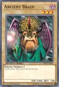 Ancient Brain SBTK-EN004