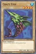 Crazy Fish SBTK-EN008