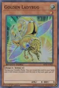 Golden Ladybug SBTK-EN022