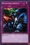 Reinforcements SBTK-ENSP5