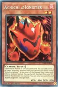 Achichi @Ignister IGAS-EN004