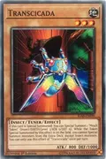Transcicada IGAS-EN030