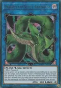 Predaplant Verte Anaconda DUOV-EN021