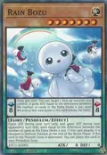 Rain Bozu ETCO-EN093