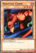 Whiptail Crow SS05-ENA05