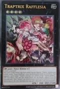 Traptrix Rafflesia (UTR) OP13-EN003