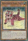 Amazoness Baby Tiger (Blue) LDS1-EN023