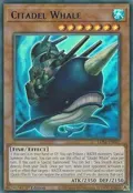 Citadel Whale (Blue) LDS1-EN027