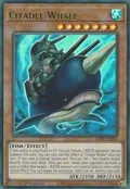 Citadel Whale (Green) LDS1-EN027