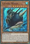Citadel Whale (Purple) LDS1-EN027