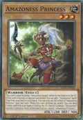 Amazoness Princess LDS1-EN022