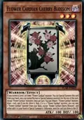 Flower Cardian Cherry Blossom BLAR-EN029