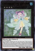 Rikka Queen Strenna ROTD-EN046