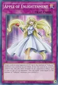 Apple of Enlightenment MP20-EN046