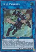 Test Panther MP20-EN176