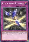 Black Wing Revenge DLCS-EN033