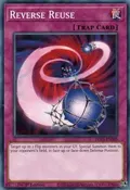 Reverse Reuse DLCS-EN089