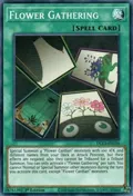 Flower Gathering DLCS-EN136