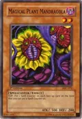 Magical Plant Mandragola MFC-072