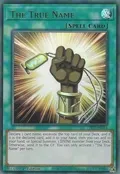 The True Name LED7-EN014