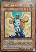 Shining Angel MRL-088
