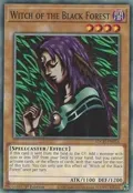 Witch of the Black Forest SDCH-EN016