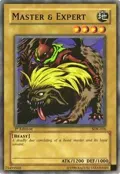 Master & Expert SDK-016