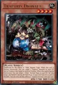 Traptrix Dionaea MAGO-EN075