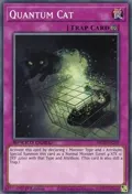 Quantum Cat SBCB-EN200