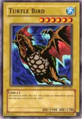 Turtle Bird MP1-014