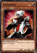 Kaibaman LDS2-EN002