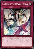 Cybernetic Revolution LDS2-EN037