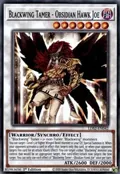 Blackwing Tamer - Obsidian Hawk Joe LDS2-EN042
