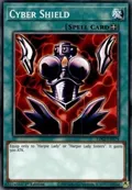 Cyber Shield LDS2-EN079