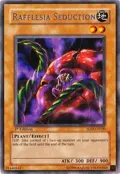 Rafflesia Seduction SOD-EN020