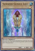 Sunseed Genius Loci GFTP-EN014