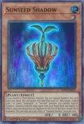 Sunseed Shadow GFTP-EN016