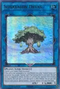 Sunavalon Dryas GFTP-EN018