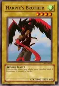 Harpie's Brother DB1-EN094