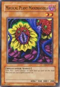 Magical Plant Mandragola DR1-EN127