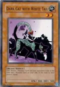 Dark Cat with White Tail DR1-EN138