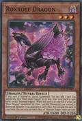 Roxrose Dragon LIOV-EN009