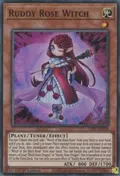 Ruddy Rose Witch LIOV-EN010