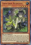 Traptrix Vesiculo LIOV-EN016