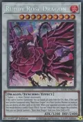 Ruddy Rose Dragon LIOV-EN035