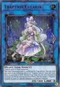 Traptrix Cularia LIOV-EN046