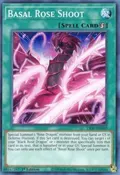 Basal Rose Shoot LIOV-EN059