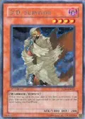 D.D. Survivor TLM-EN023