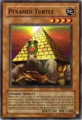 Pyramid Turtle TP5-EN017